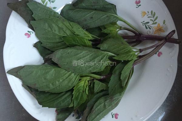 虾肉末九层塔香草茄子的做法图解3