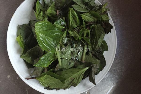 虾肉末九层塔香草茄子的做法图解8