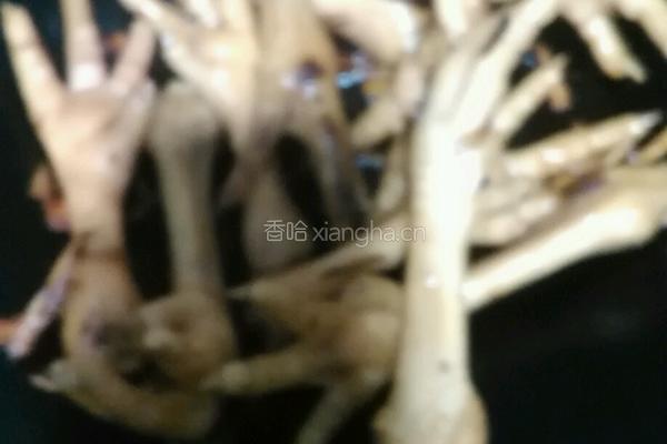 电饭锅煲鸡爪的做法图解3