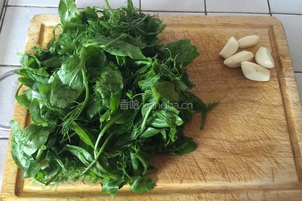 清炒豌豆苗的做法图解1