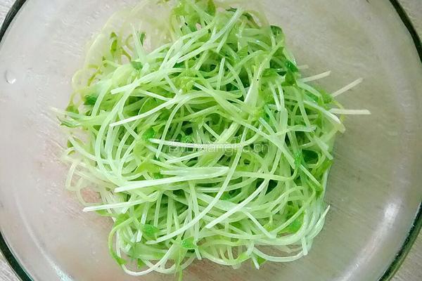 上汤豆苗的做法图解4