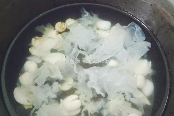 木瓜银耳羹的做法图解5