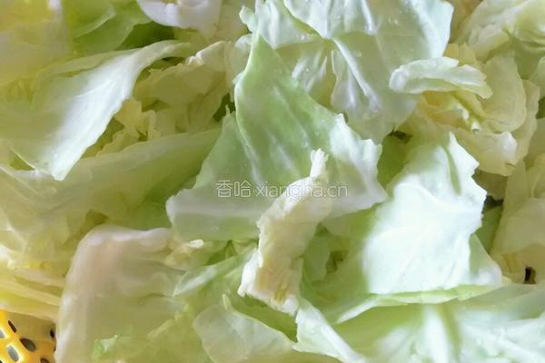 豆瓣莲白的做法图解1