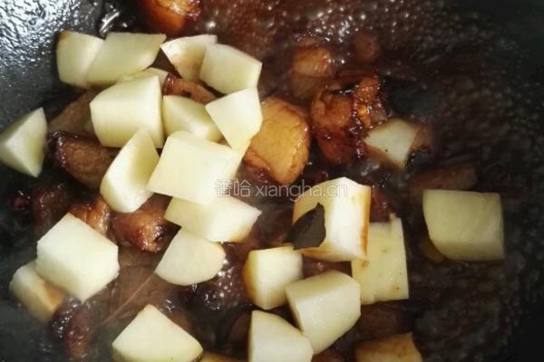 土豆红烧肉的做法图解9