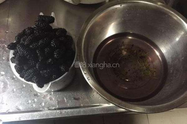 自制桑椹膏的做法图解2