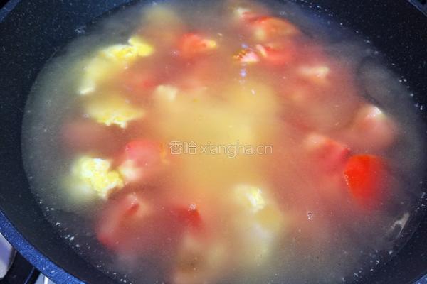 西红柿鸡蛋面的做法图解6
