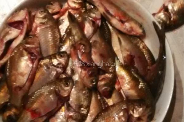 油炸香酥野鲫鱼的做法图解1