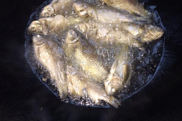 油炸香酥野鲫鱼的做法图解4