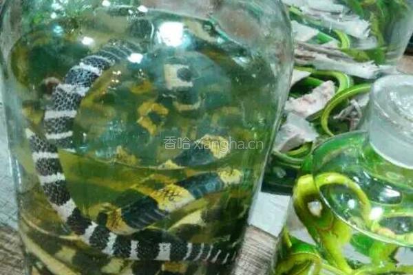 蛇酒的做法图解3