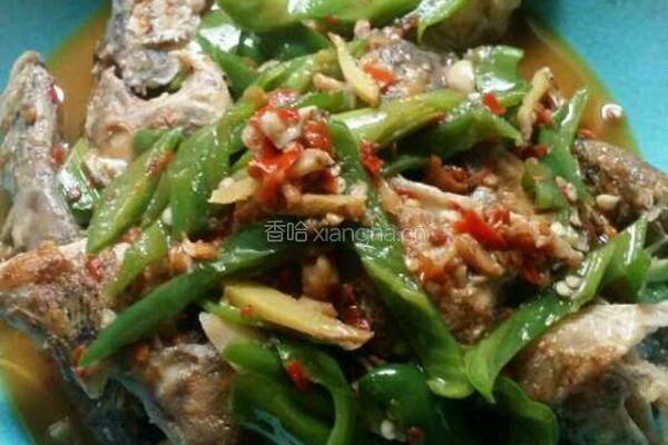香辣桂鱼的做法图解5