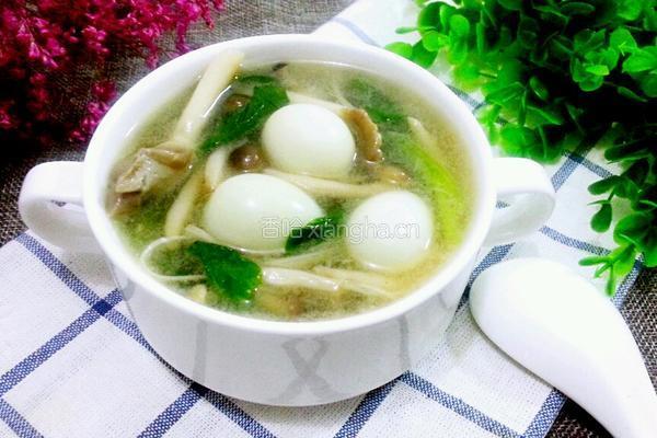 菌菇鹌鹑汤的做法图解9
