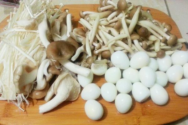 菌菇鹌鹑汤的做法图解2