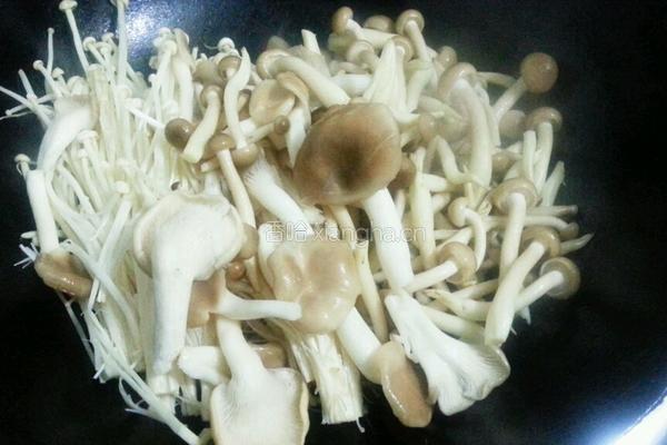 菌菇鹌鹑汤的做法图解3