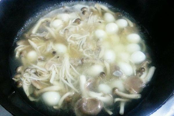 菌菇鹌鹑汤的做法图解6