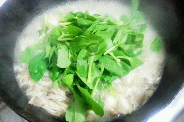 菌菇鹌鹑汤的做法图解7