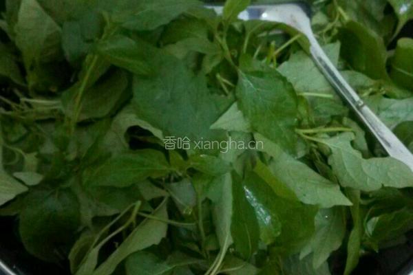 蒜香野菜的做法图解3