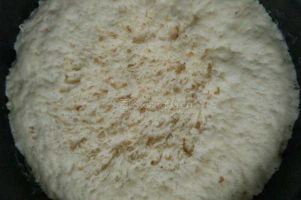 红枣豆沙包的做法图解6