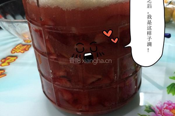 自制草莓酵素的做法图解7