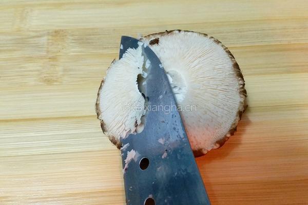 芝士雞柳炸盒子的做法图解4