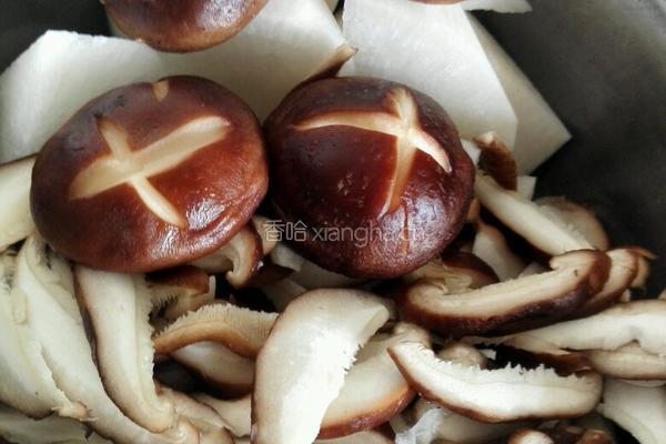 香菇炖土鸡的做法图解8