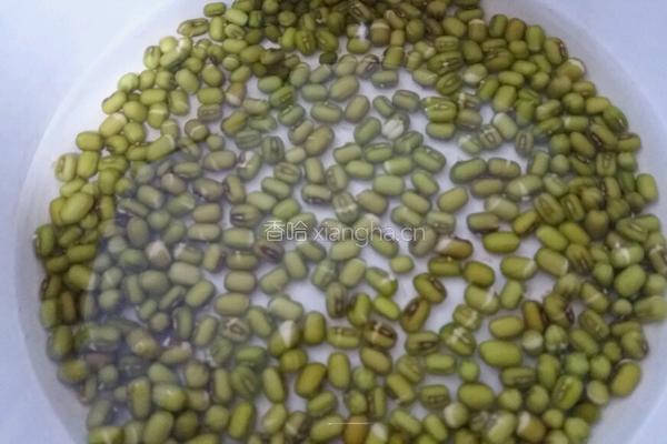 手把手教你泡发可乐绿豆芽的做法图解4