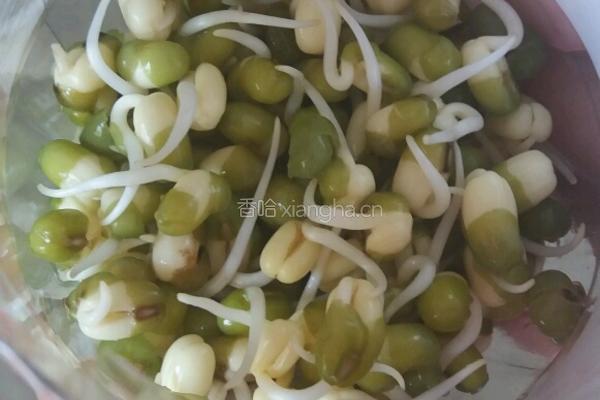手把手教你泡发可乐绿豆芽的做法图解8
