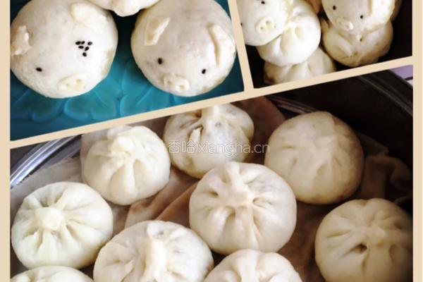 茴香小肉包的做法图解7