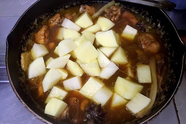 土豆炖鸡的做法图解8
