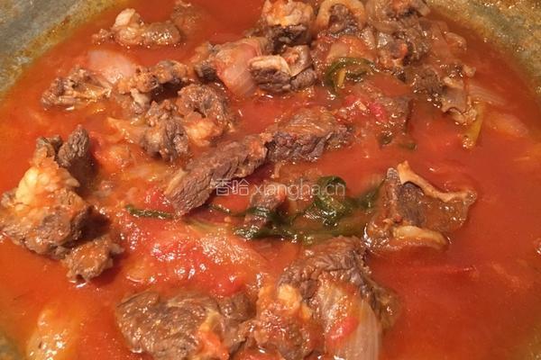 番茄香焖牛腩的做法图解9