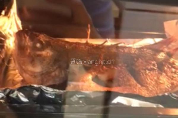 香辣麻烤鱼的做法图解2