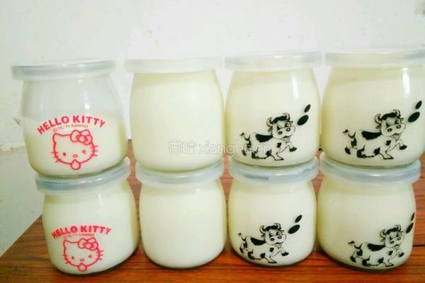 自制酸奶的做法图解6