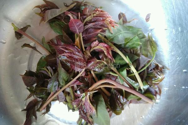 凉拌香椿芽的做法图解1