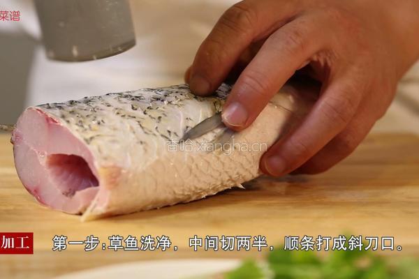 清蒸草鱼的做法图解1