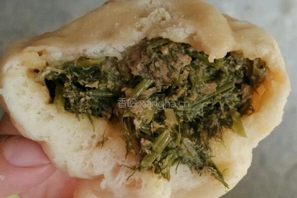 茴香肉包