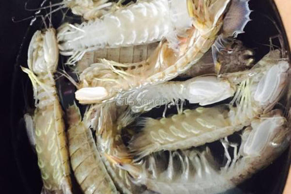 清蒸皮皮虾的做法图解1