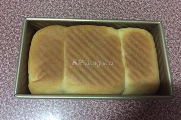 葡萄干土司的做法图解16