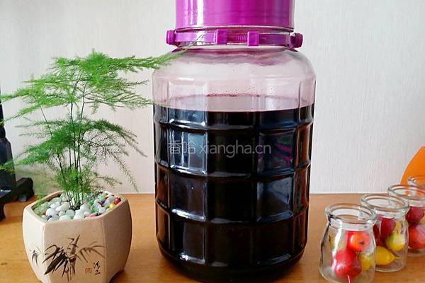 桑葚酒