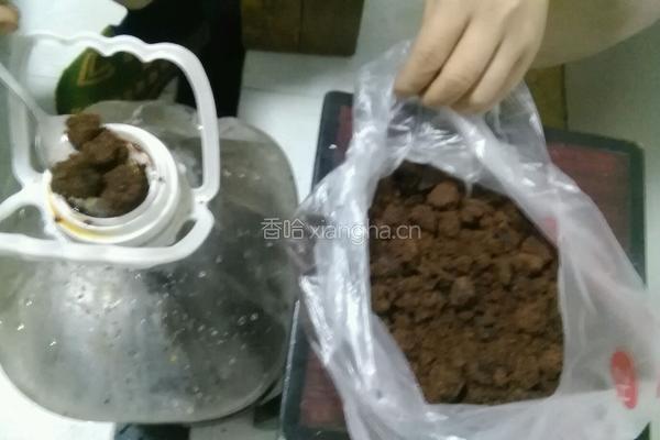 酵素的做法图解2