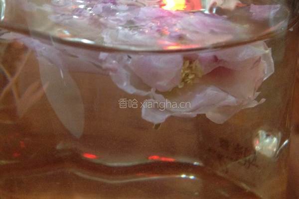 玫瑰花茶的做法图解4