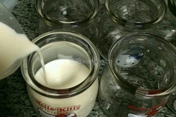 牛奶布丁的做法图解4