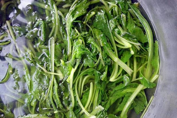 蒜蓉小白菜的做法图解3