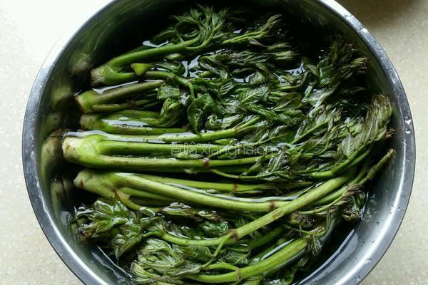 刺嫩芽蘸酱的做法图解1