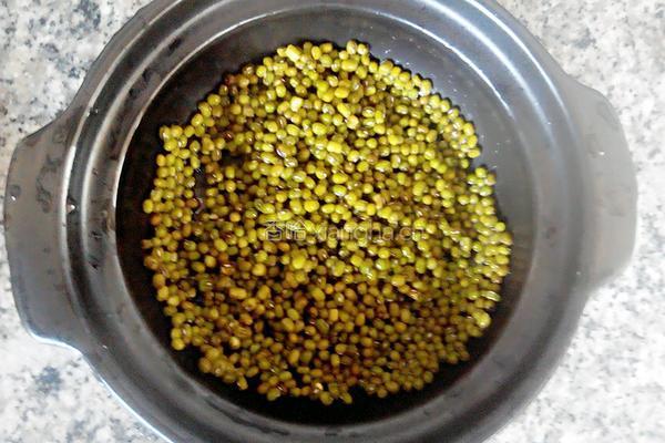 绿豆茶的做法图解4