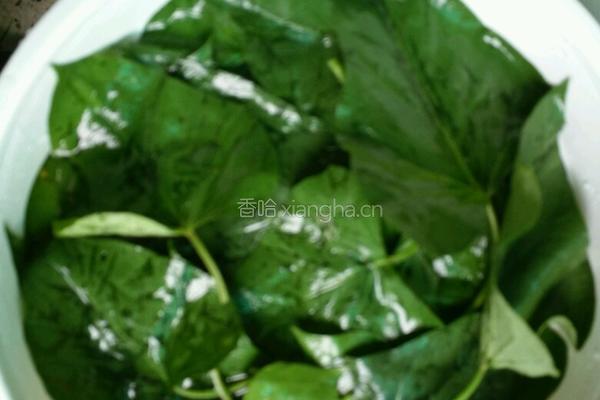 地瓜叶米果的做法图解3