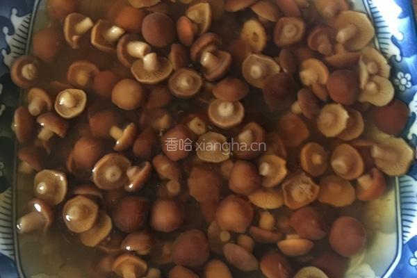汇双菇的做法图解2