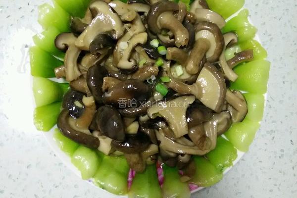 香菇趴油菜