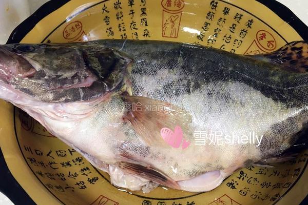 鲜笋野生桂鱼汤的做法图解2