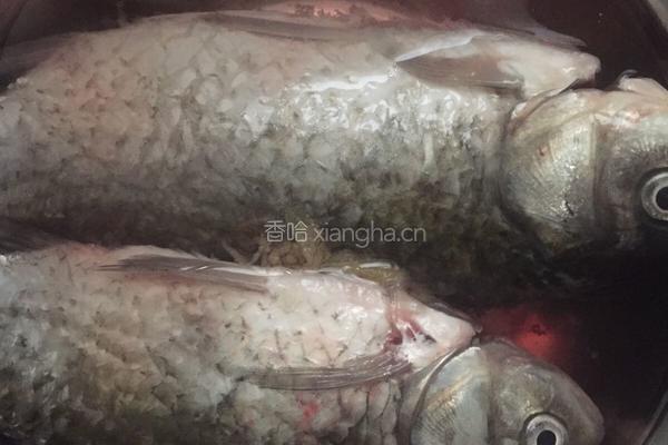 酱香清蒸鱼的做法图解1