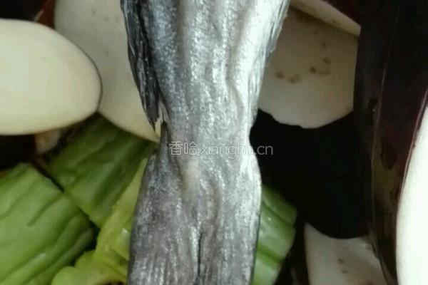 粮瓜苦的做法图解3
