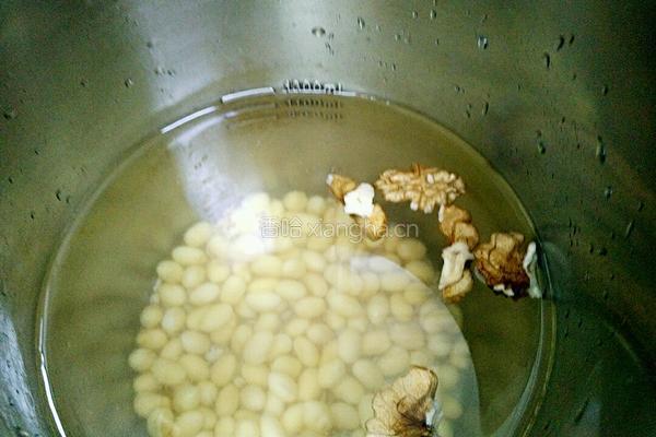核桃燕麦豆浆的做法图解3